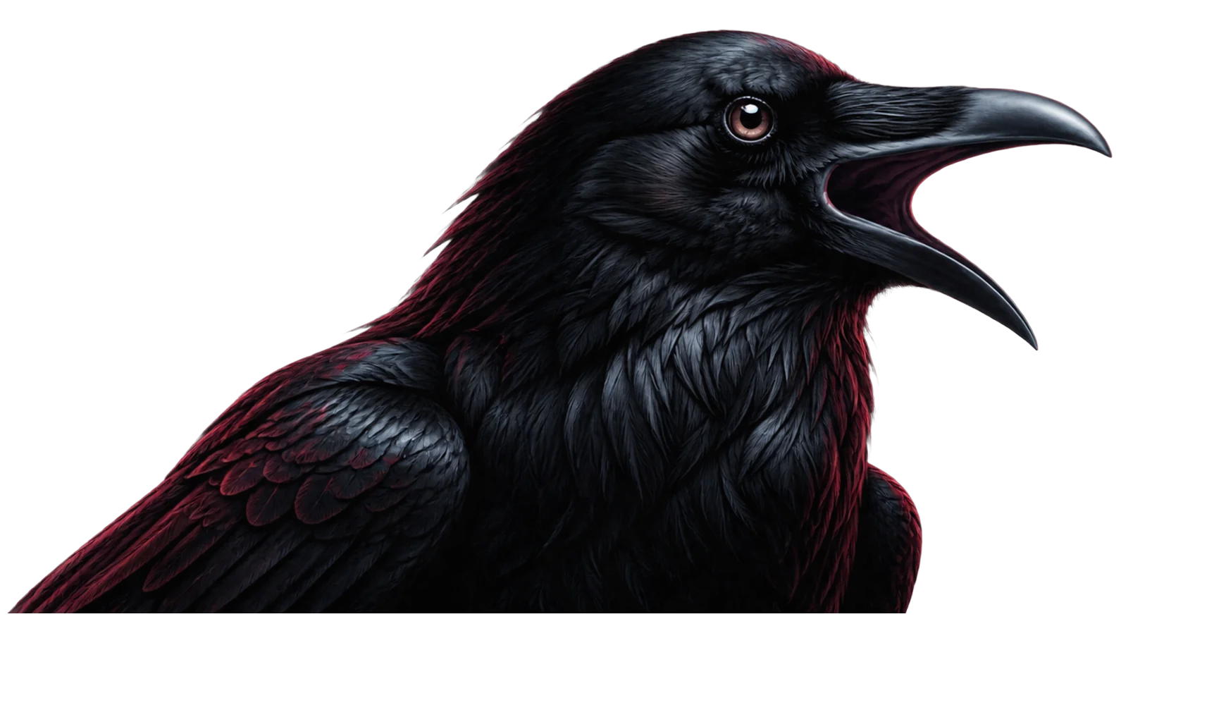 A raven calling out, wings dark with crimson rim light
